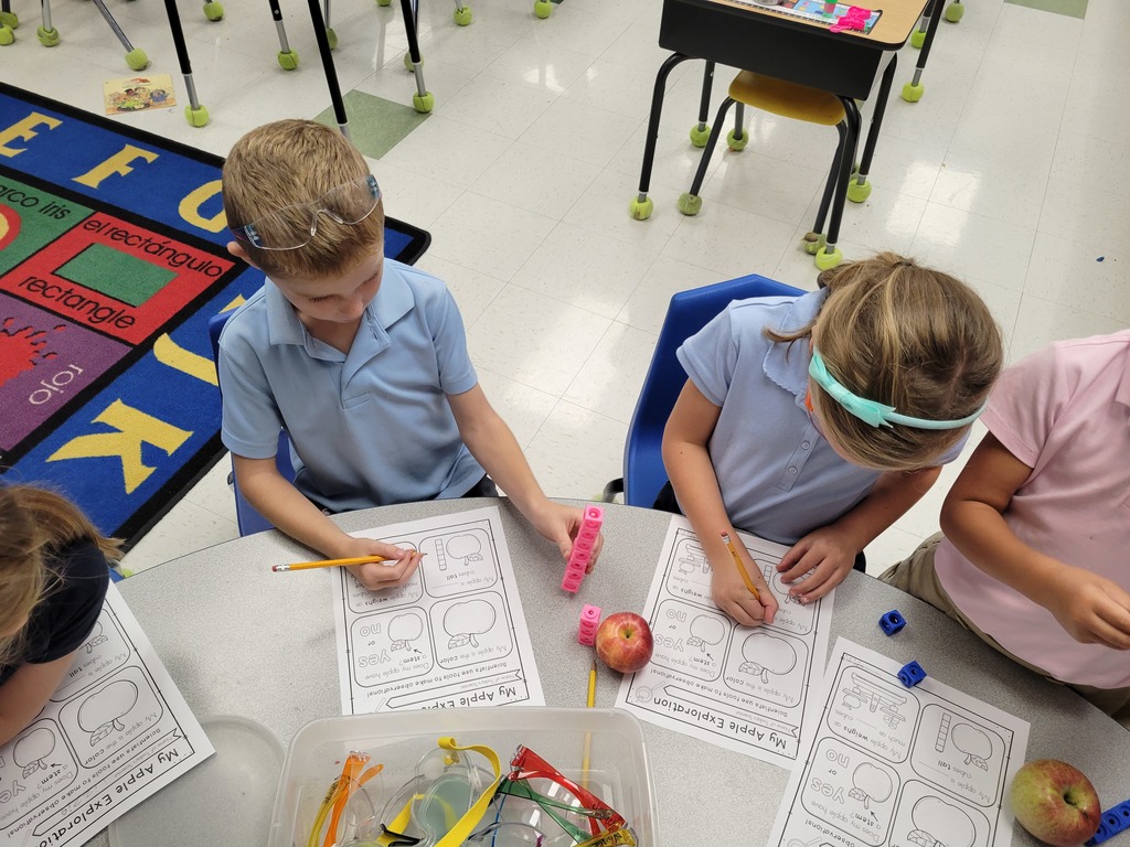 1st Grade Investigating Apples
