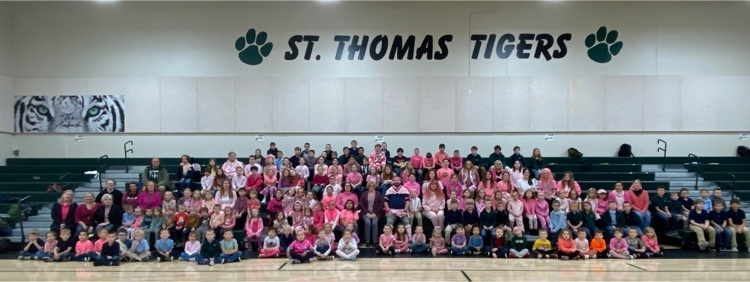 STS Pink Out